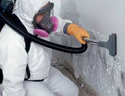 Best Forensic Mold Investigation  in Lake Brownwood, TX